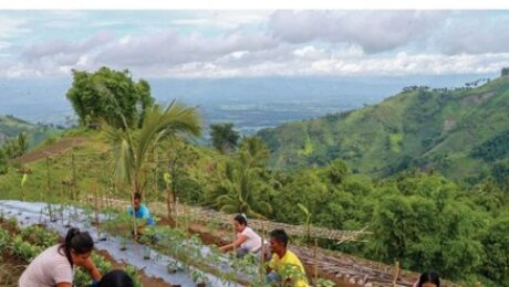 236685312_10215782944086870_8256881876043665441_n-990×1298