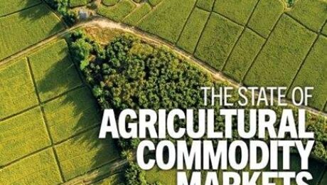 Capture-29-06-2022-1