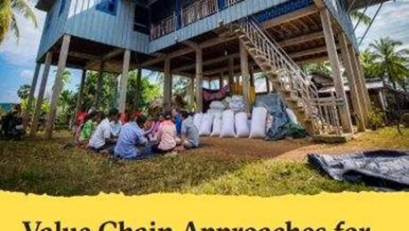 KIT-Value-chain-approaches-for-social-change.