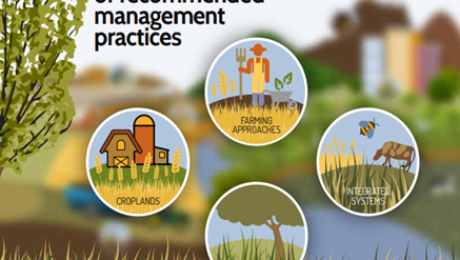 Screenshot 2025-10-14 105705