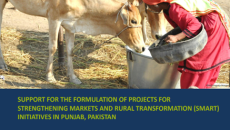 Screenshot 2025-10-15 112457