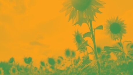 Screenshot 2025-10-16 115411