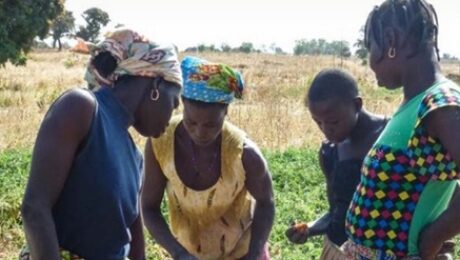 Screenshot 2025-10-16 154431