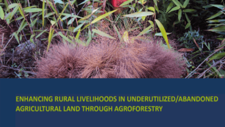 enhancing-rural-livehoods-in-underutilized