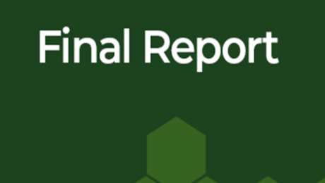 final-report-placeholder
