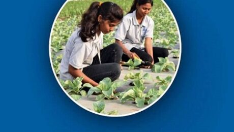 AESA-GP-PPP-EAS-AEGF-Aug2020-1-722×1024