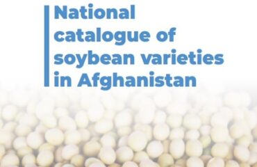 Screenshot-2023-04-13-162931