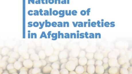 Screenshot-2023-04-13-162931