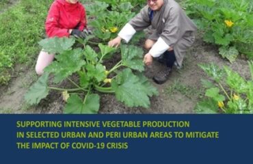 Screenshot-2023-04-13-170000