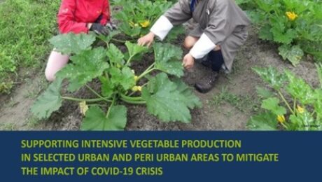 Screenshot-2023-04-13-170000