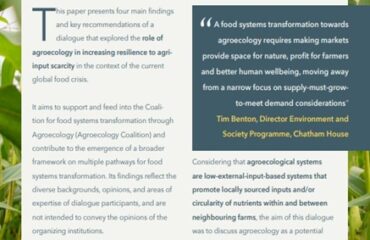 Screenshot-2023-04-13-170051