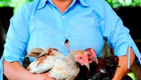 Screenshot 2025-11-04 141944