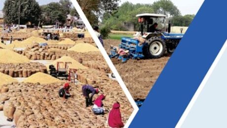 Screenshot 2025-11-06 103225