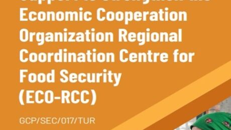 Screenshot 2025-11-06 112144