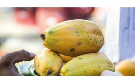 Screenshot 2025-11-07 144611