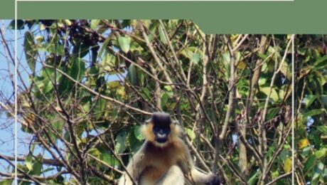 Screenshot 2025-11-12 101401