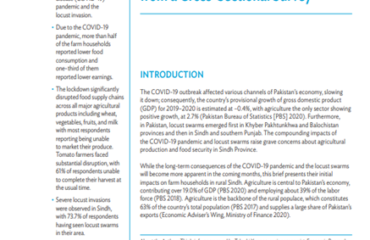 Screenshot 2025-11-25 111718